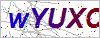 验证码